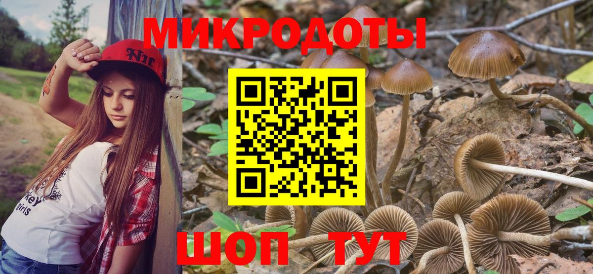 Кудымкар  Галлюциногенные грибы Magic Shrooms  Вход с VPN 