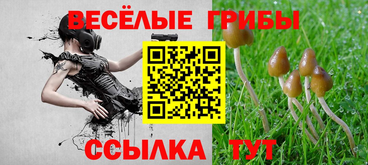 Галлюциногенные грибы GOLDEN TEACHER Кудымкар